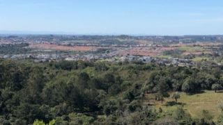 Cemitério clandestino em Porto Alegre teria cerca de 100 corpos enterrados, segundo MP