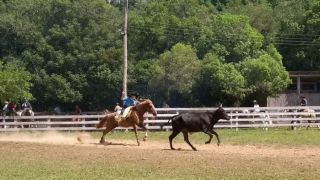 Tchê organiza e vem participar do XXIX Rodeio Estadual de Dom Feliciano