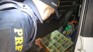 PRF prende homem com quase 100 animais silvestres em Barra do Ribeiro