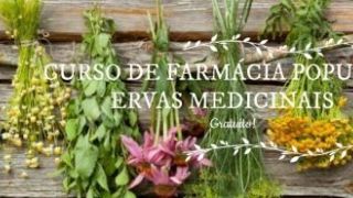 Prefeitura de Dom Feliciano oferece curso gratuito de Farmácia Popular: plantas medicinais