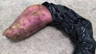 Batata doce era usada para prática de assalto