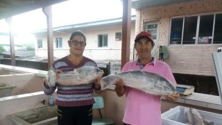 Feira do Peixe de Dom Feliciano