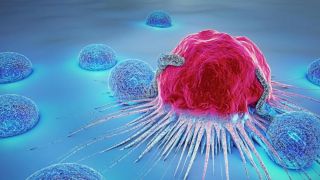 Cientistas descobrem célula que tem potencial para tratar todos os tipos de câncer