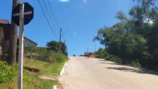Cavalo solto é flagrado nas ruas de Dom Feliciano