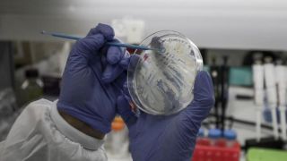 "Estamos cada vez mais perto de vacina e tratamento para o coronavírus", diz OMS
