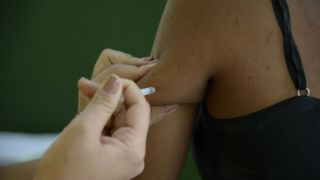 Governo faz campanha de vacinação contra febre amarela em seis estados
