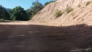 Homem é encontrado morto no interior de Dom Feliciano