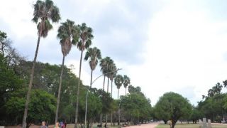 Dois meses após primeiro registro, Porto Alegre tem mais de 560 casos da Covid-19 e 17 óbitos