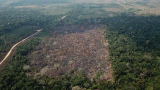 Desmatamento na Amazônia aumenta 64%