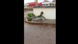 Vídeo FALA COMUNIDADE: Internauta registra desperdício de água