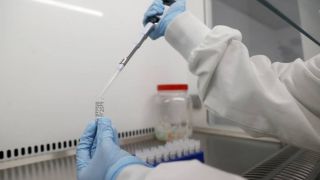 Comunidade internacional defende vacina contra o coronavírus para todos e reforma da OMS