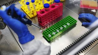 OPAS: todos países devem ter acesso às vacinas contra covid-19