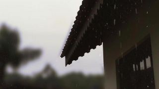 Chuva ameniza estiagem em Dom Feliciano