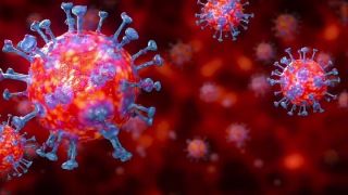 RS tem 323 mortes por coronavírus e casos confirmados passam de 14,1 mil