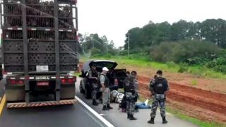 Homem é preso em ação do POE na BR-116 em Camaquã