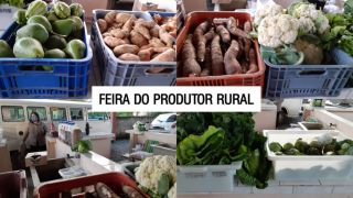 Feira do Produtor Rural está de volta em Dom Feliciano