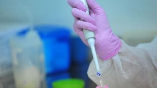 Rio Grande do Sul registra 477 mortes e mais de 20 mil casos de coronavírus
