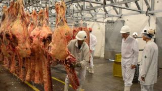Em 32 frigoríficos há funcionários contaminados pelo novo coronavírus
