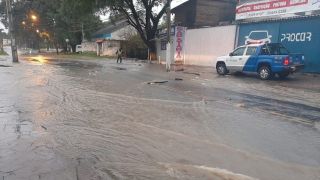 Porto Alegre registra transtornos devido à chuva; instituições emitem alertas sobre temporais com vento forte no RS