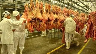 Quatro frigoríficos brasileiros estão suspensos de exportar carne à China