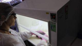 Governo do RS anuncia ampliação para 3 mil testes diários para Covid-19 até agosto