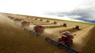 Brasil retoma posto de maior produtor de soja do planeta