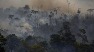 Desmatamento na Amazônia em junho é o maior em cinco anos