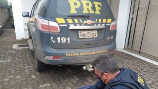 Libanês é flagrado com R$ 500 mil sem procedência em ônibus em Rio Pardo
