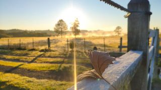 RS registra a menor temperatura do ano com -3,7ºC
