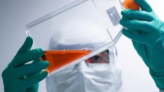 Vacina de Oxford se mostra segura e gera imunidade, diz estudo