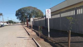 Secretaria do Meio Ambiente planta muda de árvores em Camaquã