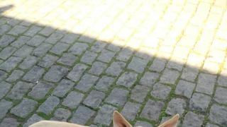 Cachorrinho aparentemente perdido é visto na 13 de maio 