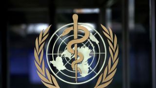 OMS minimiza risco de novo coronavírus entrar na cadeia alimentar