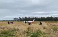 Avião realiza pouso forçado às margens da BR-290, na Região Metropolitana de Porto Alegre