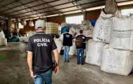 Polícia Civil apreende R$ 3 milhões em sementes clandestinas no RS 